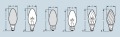 OSRAM CLASSIC B