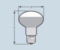 OSRAM CONCENTRA SPOT NATURA