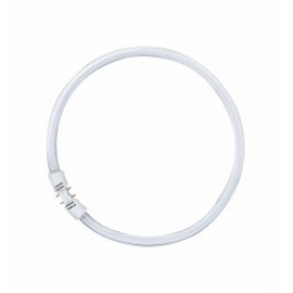 OSRAM LUMILUX T5 FC 2Gx13 16 mm