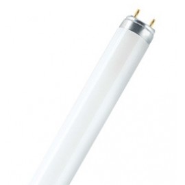 OSRAM LUMILUX  T8 G13 26 mm