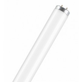 OSRAM 38 мм G13