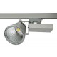 Светильник SL-4302 Silver Светильник SL-4302 Silver