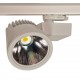 Светильник Lival Ray LED / Rival LED Светильник Lival Ray LED / Rival LED