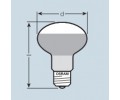 OSRAM CONCENTRA SPOT NATURA